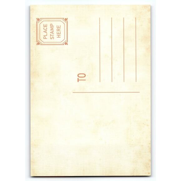 Vintage Halloween Skeleton with Roses & Pumpkins Photochrome Postcard - Picture 2 of 2